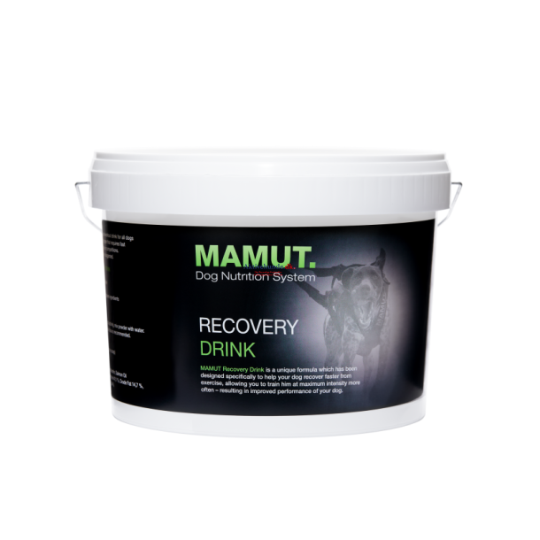 MAMUT Recovery Drink